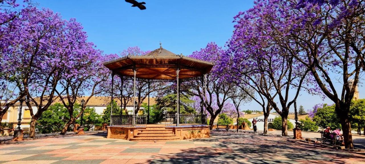 Alazan Jerez Ii-parking Gratis-wifi-netflix